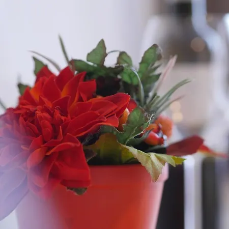 Vossbur Hotel Toppenstedt